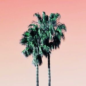 Meet your Posher, Ava